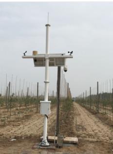 1586933036711702.jpg 201815101060.jpg