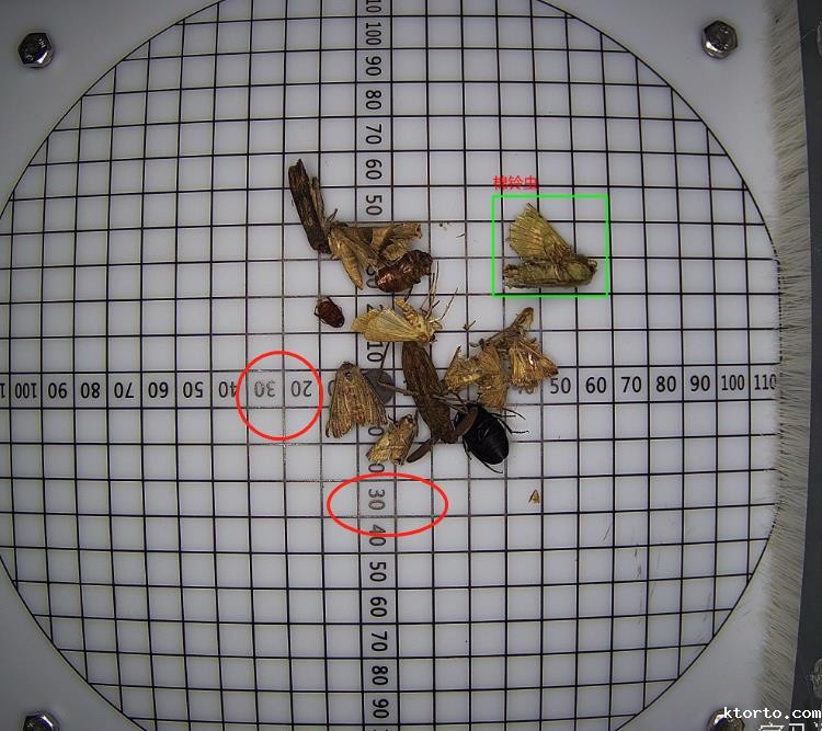 1619771820698405.jpg 1619771820698405.jpg