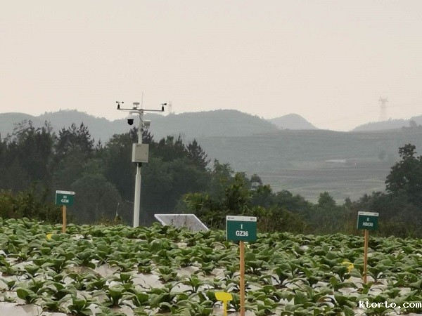 ag九游会网点图片2 ag九游会网点图片2