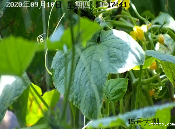 温室大棚气象监测站图片3 温室大棚气象监测站图片3