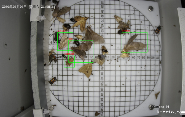 虫情测报灯图片2 虫情测报灯图片2