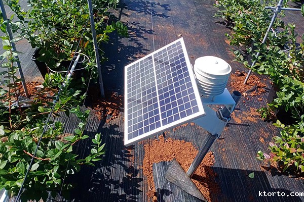 土壤墒情监测图片1 土壤墒情监测图片1