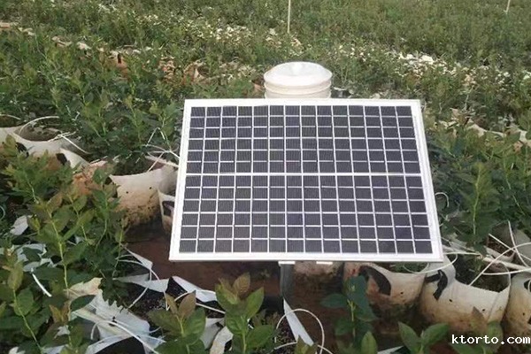 小气候ag九游会网点图片1 小气候ag九游会网点图片1