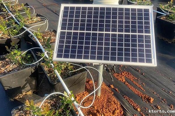 设施农业自动ag九游会网点图片2 设施农业自动ag九游会网点图片2