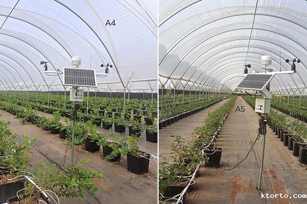 设施蓝莓园智能监测设备图片1