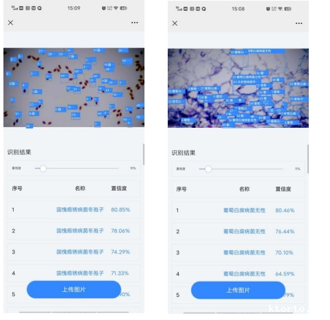 物联网智能孢子捕捉系统图片4 物联网智能孢子捕捉系统图片4