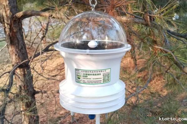 1736415876928180.jpg 花篮1.jpg