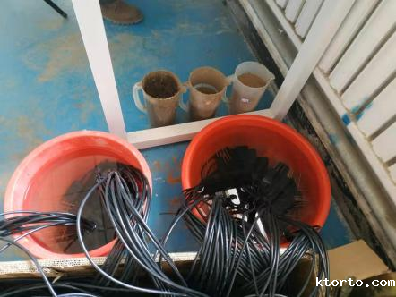 耐盐碱地土壤传感器图片2 耐盐碱地土壤传感器图片2