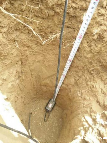 耐盐碱地土壤传感器图片3 耐盐碱地土壤传感器图片3