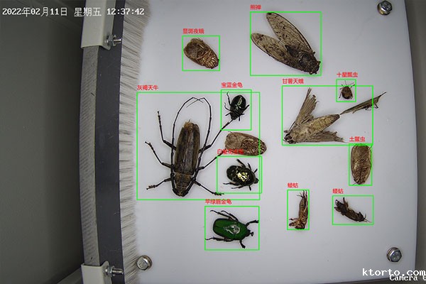 虫情测报设备图片2 虫情测报设备图片2