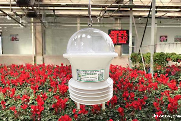 便携式温湿度测量仪图片2 便携式温湿度测量仪图片2