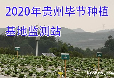 2020年贵州毕节种植基地监测站
